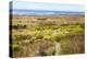 A narrow footpath towards the ocean, San Luis Obispo County, California, Usa.-Susan Pease-Premier Image Canvas