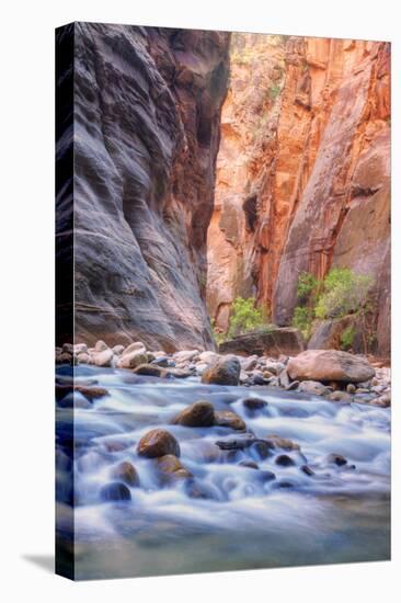 A Narrows View, Zion-Vincent James-Premier Image Canvas