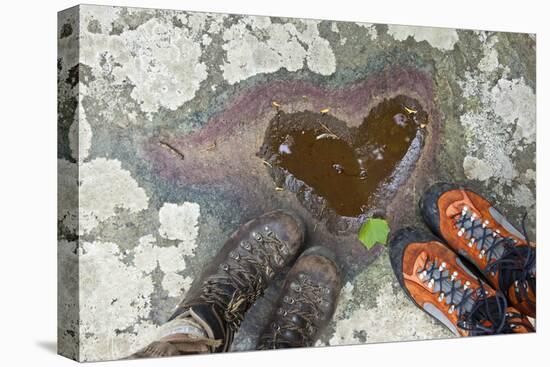 A Natural Pool of Rainwater Forms the Shape of a Heart in Shenandoah National Park, Virginia-Karine Aigner-Premier Image Canvas