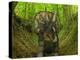 A Nedoceratops Wanders a Cretaceous Forest-Stocktrek Images-Premier Image Canvas