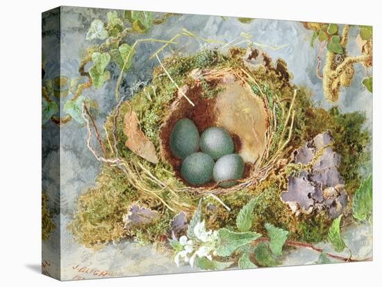 A Nest of Eggs, 1871-Jabez Bligh-Premier Image Canvas