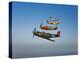 A P-36 Kingcobra, Two Curtiss P-40N Warhawks, and a P-51D Mustang in Flight-Stocktrek Images-Premier Image Canvas