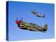 A P-40E Warhawk and a P-51D Mustang Kimberly Kaye in Flight-Stocktrek Images-Premier Image Canvas
