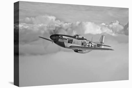 A P-51D Mustang in Flight Near Hollister, California-null-Premier Image Canvas
