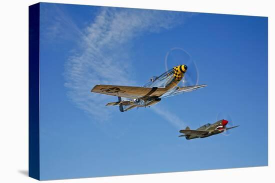 A P-51D Mustang Kimberly Kaye and a P-40E Warhawk in Flight-null-Premier Image Canvas