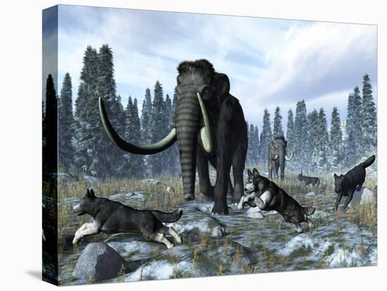 A Pack of Dire Wolves Crosses Paths with Two Mammoths During the Upper Pleistocene Epoch-Stocktrek Images-Premier Image Canvas