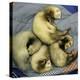 A Pack of Ferrets Clockwise from Top, Chewbacca, Hobart, Dixie B, Wolfgang Amadeaus Motzart-Carolyn Kaster-Premier Image Canvas