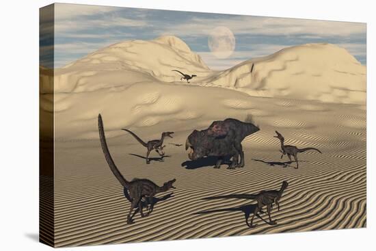 A Pack of Velociraptors Encircling a Lone Protoceratops-null-Stretched Canvas