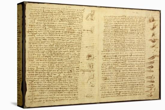 A Page from the Codex Leicester, 1508-12-Leonardo da Vinci-Premier Image Canvas