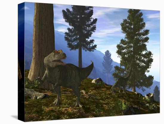 A Pair of Allosaurus Search for a Meal Along a Mountainside Forest-Stocktrek Images-Premier Image Canvas