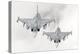 A Pair of Hungarian Air Force Jas-39 Gripen over Lithuania-Stocktrek Images-Premier Image Canvas