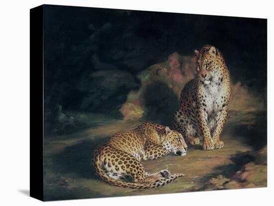 A Pair of Leopards, 1845-William Huggins-Premier Image Canvas