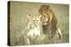 A Pair of Lions in the Wild in Africa-John Dominis-Premier Image Canvas