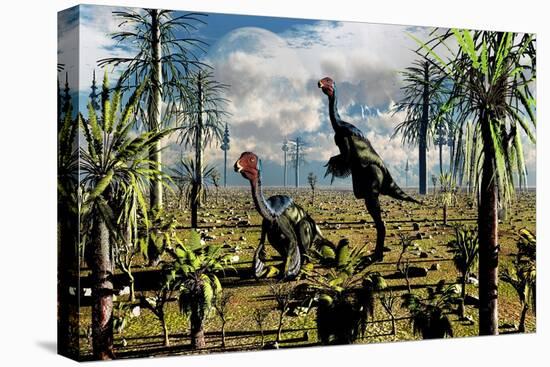 A Pair of Omnivorous Caudipteryx Feathered Dinosaurs-null-Stretched Canvas