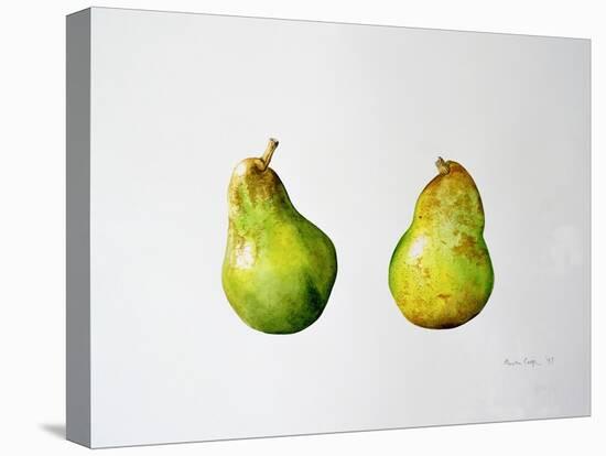 A Pair of Pears, 1997-Alison Cooper-Premier Image Canvas