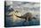 A Pair of Spinosaurus Hunting for Fish-Stocktrek Images-Stretched Canvas