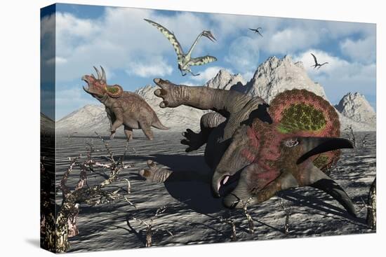 A Pair of Triceratops Trapped in a Deadly Mud Pit-null-Stretched Canvas