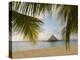 A Palapa and Sandy Beach, Placencia, Belize-William Sutton-Premier Image Canvas