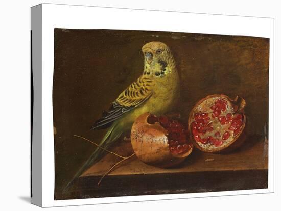 A Parakeet and a Pomegranate on a Ledge (Oil on Copper)-French School-Premier Image Canvas