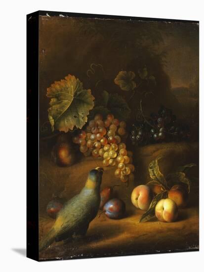 A Parrot with Grapes, Peaches and Plums in a Landscape-Tobias Stranover-Premier Image Canvas