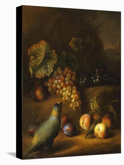 A Parrot with Grapes, Peaches and Plums in a Landscape-Tobias Stranover-Premier Image Canvas
