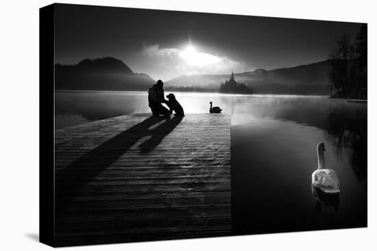 A peaceful morning at the lake-Sandi Bertoncelj-Premier Image Canvas
