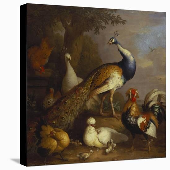 A Peacock, a Peahen and Poultry in a Landscape-Tobias Stranover-Premier Image Canvas