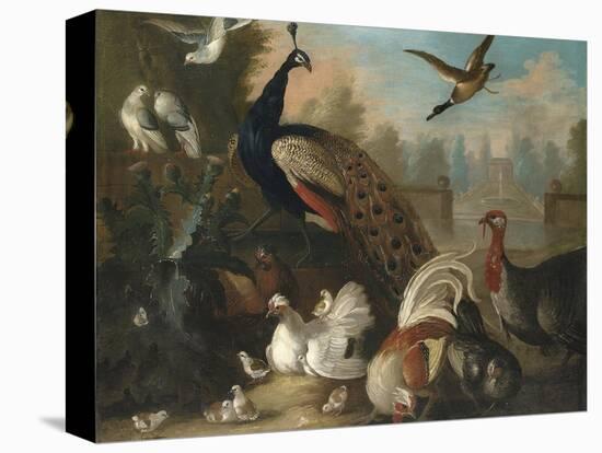 A Peacock and Other Birds in an Ornamental Landscape-Marmaduke Cradock-Premier Image Canvas