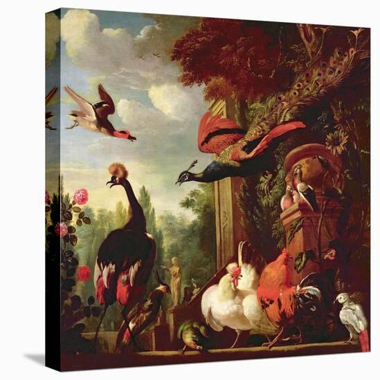 A Peacock, Peahen and Other Exotic Birds and Poultry on a Terrace-Melchior de Hondecoeter-Premier Image Canvas