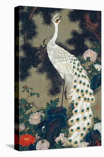 A Peacock, Pine and Peony-Jakuchu Ito-Premier Image Canvas