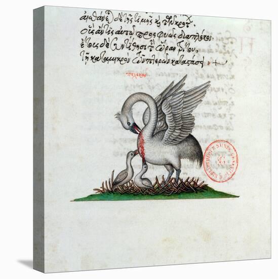 A Pelican Piercing Its Breast to Feed Its Young, from a Bestiary by Manuel Philes, 1566-null-Premier Image Canvas