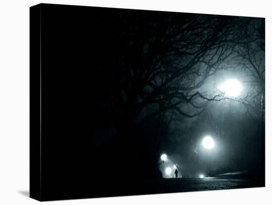 A Person Running in Propsect Park, Brooklyn, New York City-Sabine Jacobs-Premier Image Canvas
