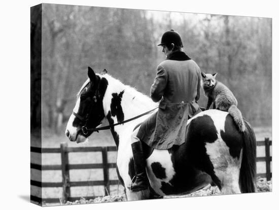 A Pet Fox Sits on the Horse of Its Owner-null-Premier Image Canvas