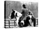 A Pet Fox Sits on the Horse of Its Owner-null-Premier Image Canvas