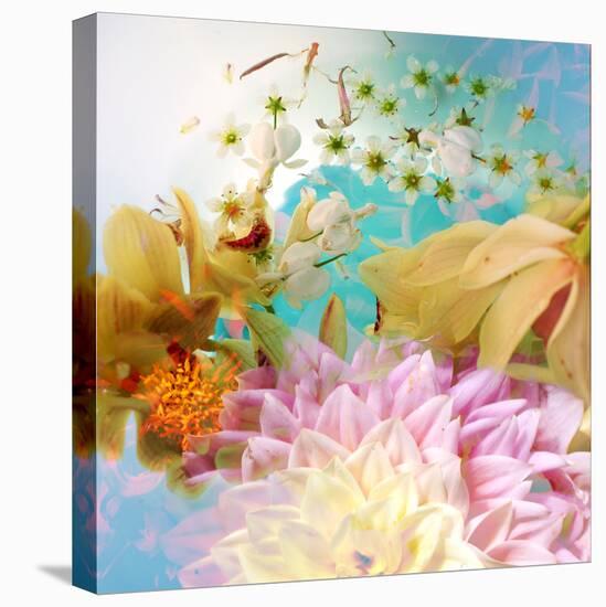 A Photographic Montage of Dreamy Flowers in Water-Alaya Gadeh-Premier Image Canvas