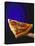 A Piece of Ham and Salami Pizza on Server-null-Premier Image Canvas