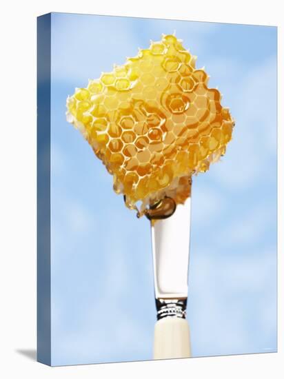 A Piece of Honeycomb on a Knife-Marc O^ Finley-Premier Image Canvas