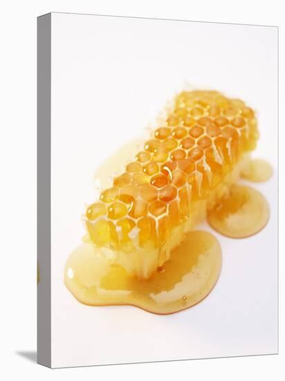 A Piece of Honeycomb-Marc O^ Finley-Premier Image Canvas