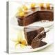 A Piece of Sacher Torte with Physalis-Frank Wieder-Premier Image Canvas