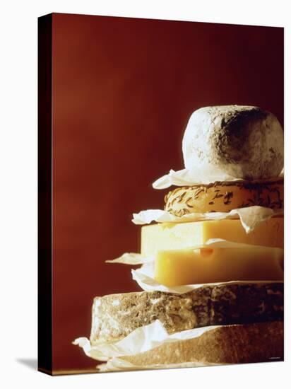 A Pile of Pieces of Different Cheeses-Tim Thiel-Premier Image Canvas