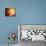 A Planet and its Moon Resisting the Relentless Heat of the Giant Orange Sun Pollux-Stocktrek Images-Premier Image Canvas displayed on a wall