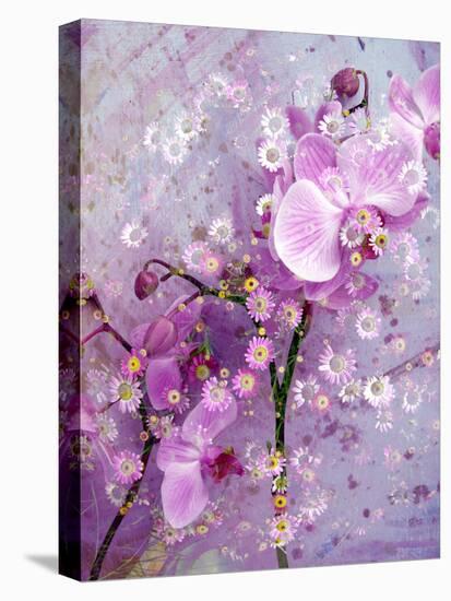 A Playful Floral Montage of Pink Orchid with Daisies-Alaya Gadeh-Premier Image Canvas