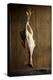 A Plucked Capon, Hung Up-Ulrike Schmid-Premier Image Canvas