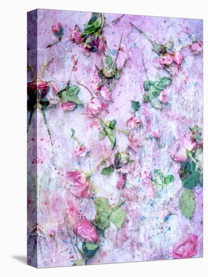 A Poetic Floral Montage from Pink Roses on Painted Texture-Alaya Gadeh-Premier Image Canvas