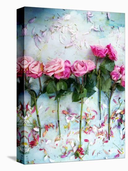 A Poetic Floral Montage of Roses-Alaya Gadeh-Premier Image Canvas