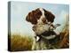 A Pointer with a Quail Amongst Clover-Arthur Fitzwilliam Tait-Premier Image Canvas