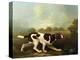 A Pointer-George Stubbs-Premier Image Canvas