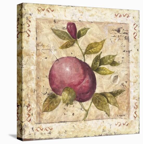 A Pomegranate Page-Martin-Stretched Canvas