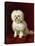 A Poodle-Henriette Ronner-Knip-Premier Image Canvas