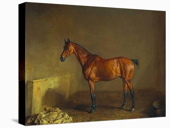 A Portrait of 'Marshall' a Bay Racehorse, in a Stall-Edward Troye-Premier Image Canvas